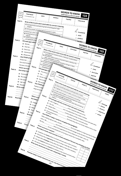 Sample Page 4