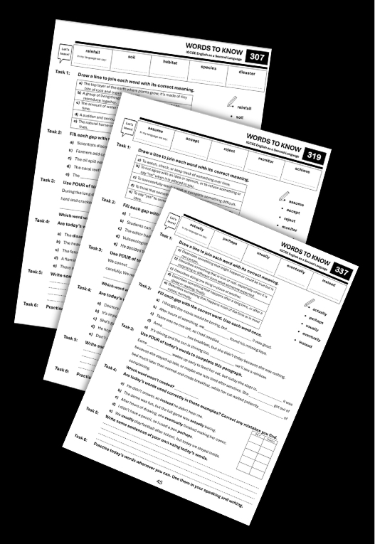 Sample Page 4