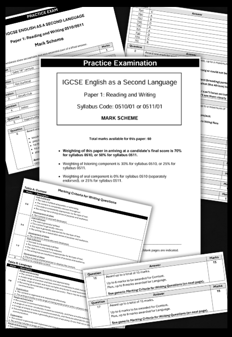 Sample Page 5